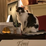 Toni_Portrait