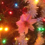 Christmas tree lights