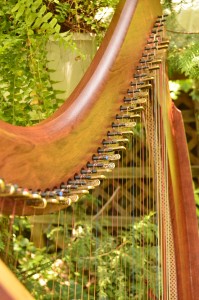 Luna Harp in Summer Garden (8)