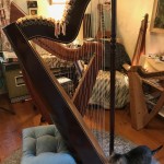 My Paraguayan Harp