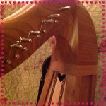 Thoughts on playing a cross-strung wire harp