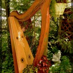 Update on my harp!