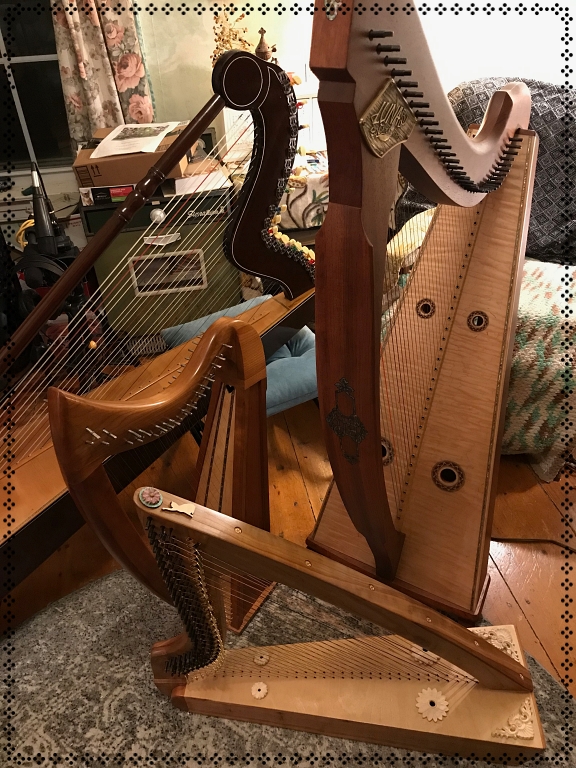 My harp family portrait: Triplett Luna is in the middle, with Stoney Esabelle to her right, Argent Fox "Forest" in front and my Paraguayan harp in back.